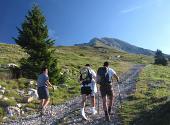 Salita al Pizzo Arera (2512 m.) dal Rif. SABA e Capanna 2000 nella splendida giornata del 28 agosto 2010